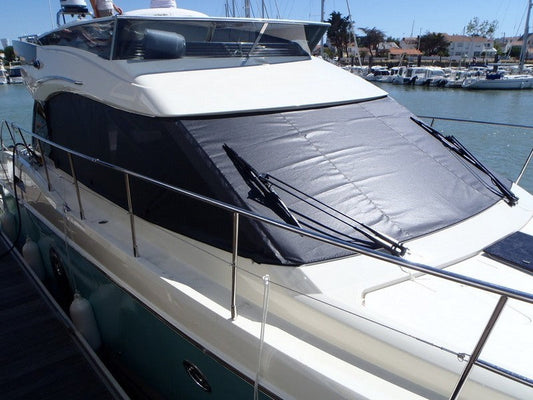 WINDSHIELD PROTECTION MONTE CARLO MONTE CARLO 4 2014